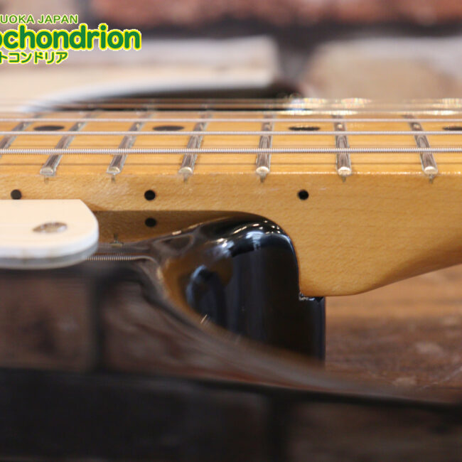 激レア！レフティーのTokai TSTです！