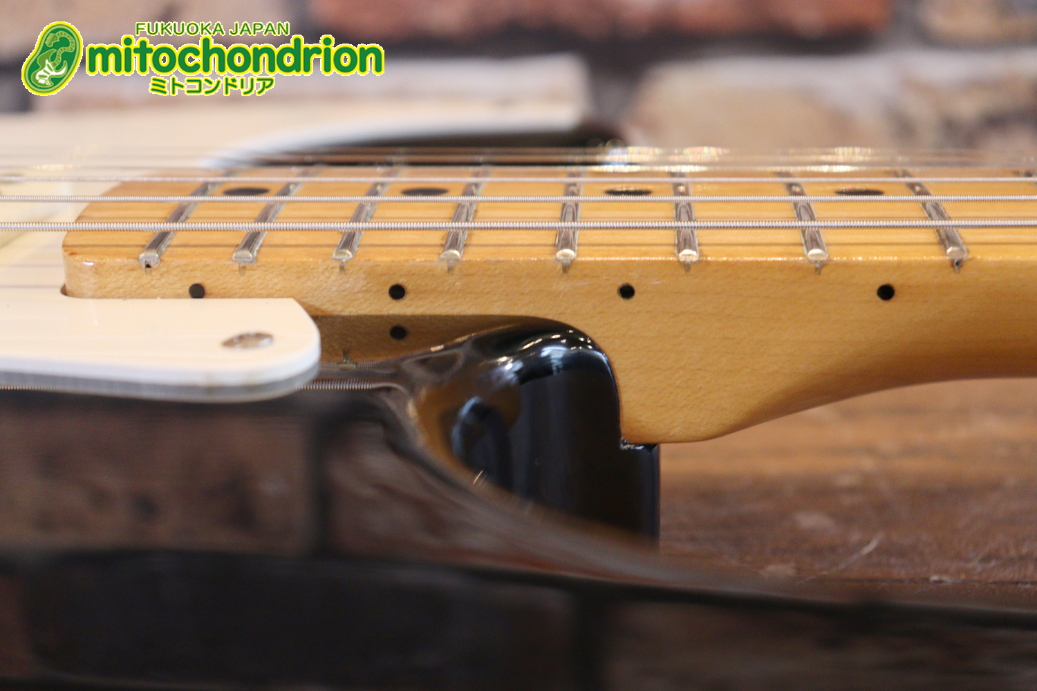 激レア！レフティーのTokai TSTです！