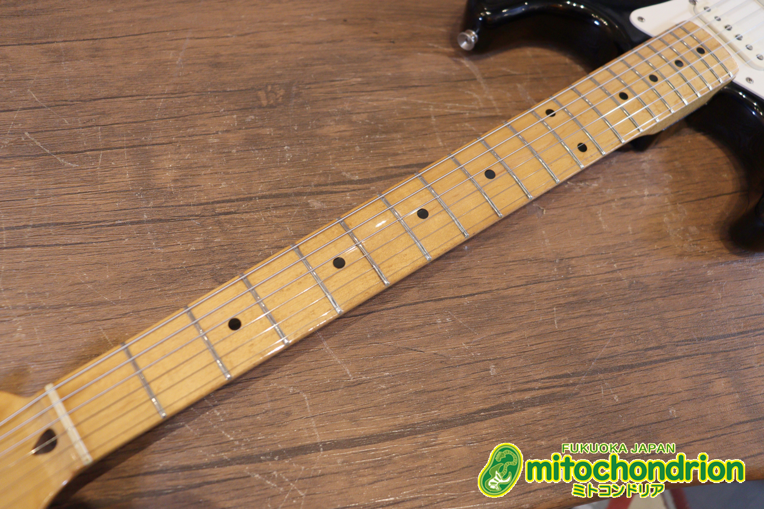 激レア！レフティーのTokai TSTです！