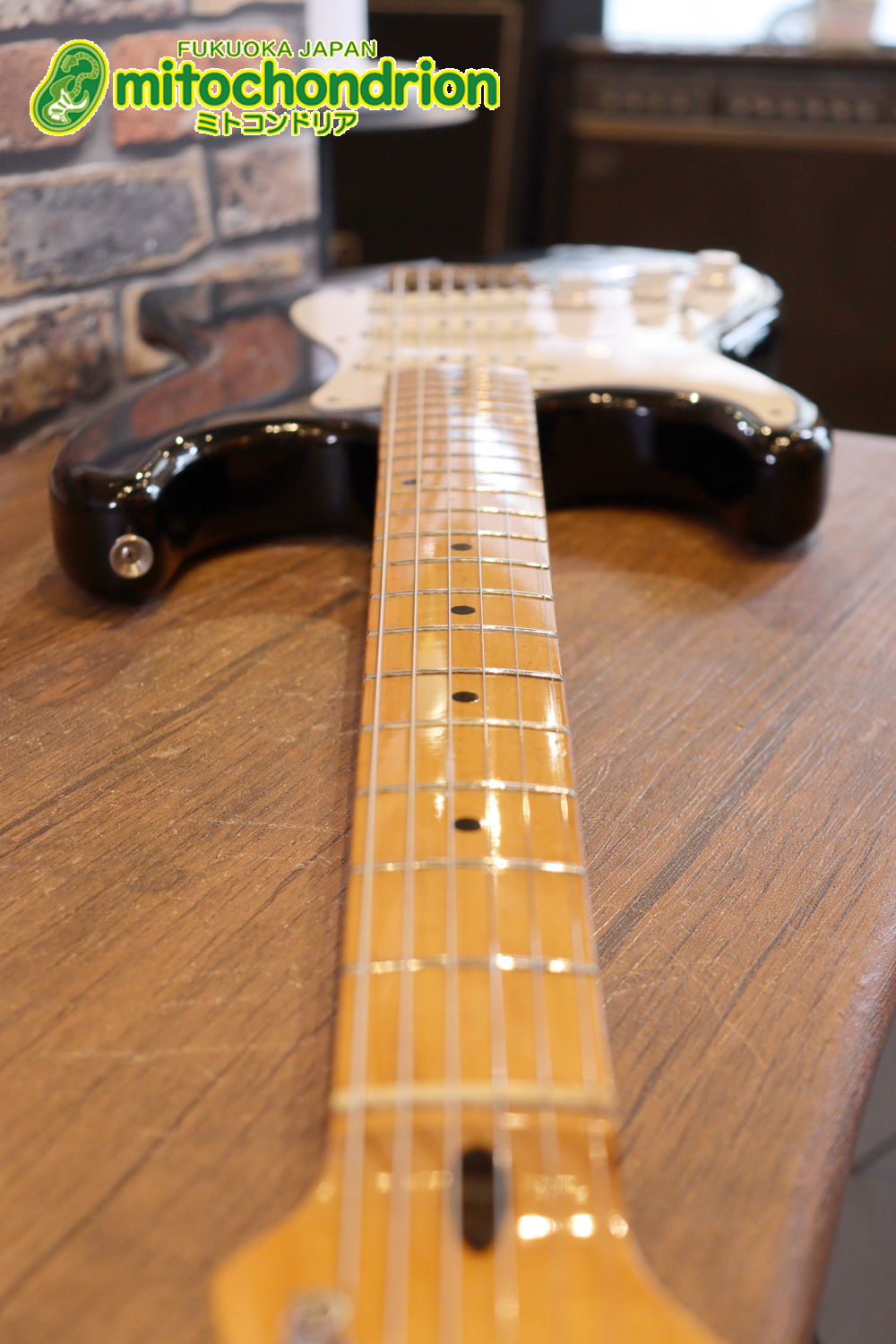 激レア！レフティーのTokai TSTです！