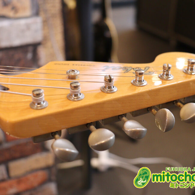 激レア！レフティーのTokai TSTです！