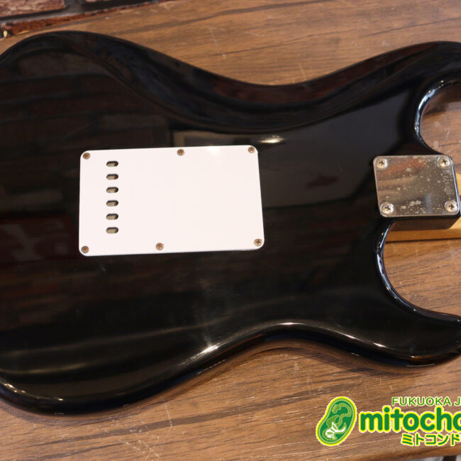 激レア！レフティーのTokai TSTです！