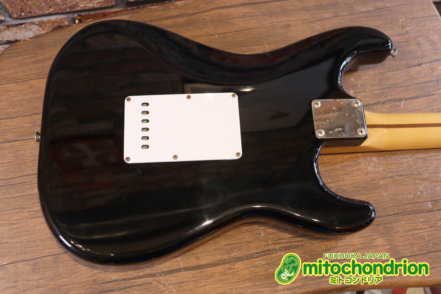 激レア！レフティーのTokai TSTです！