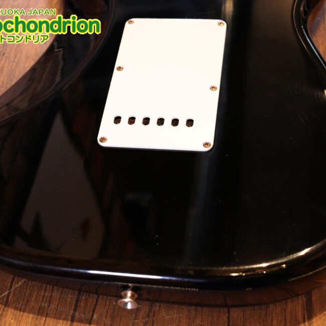 激レア！レフティーのTokai TSTです！