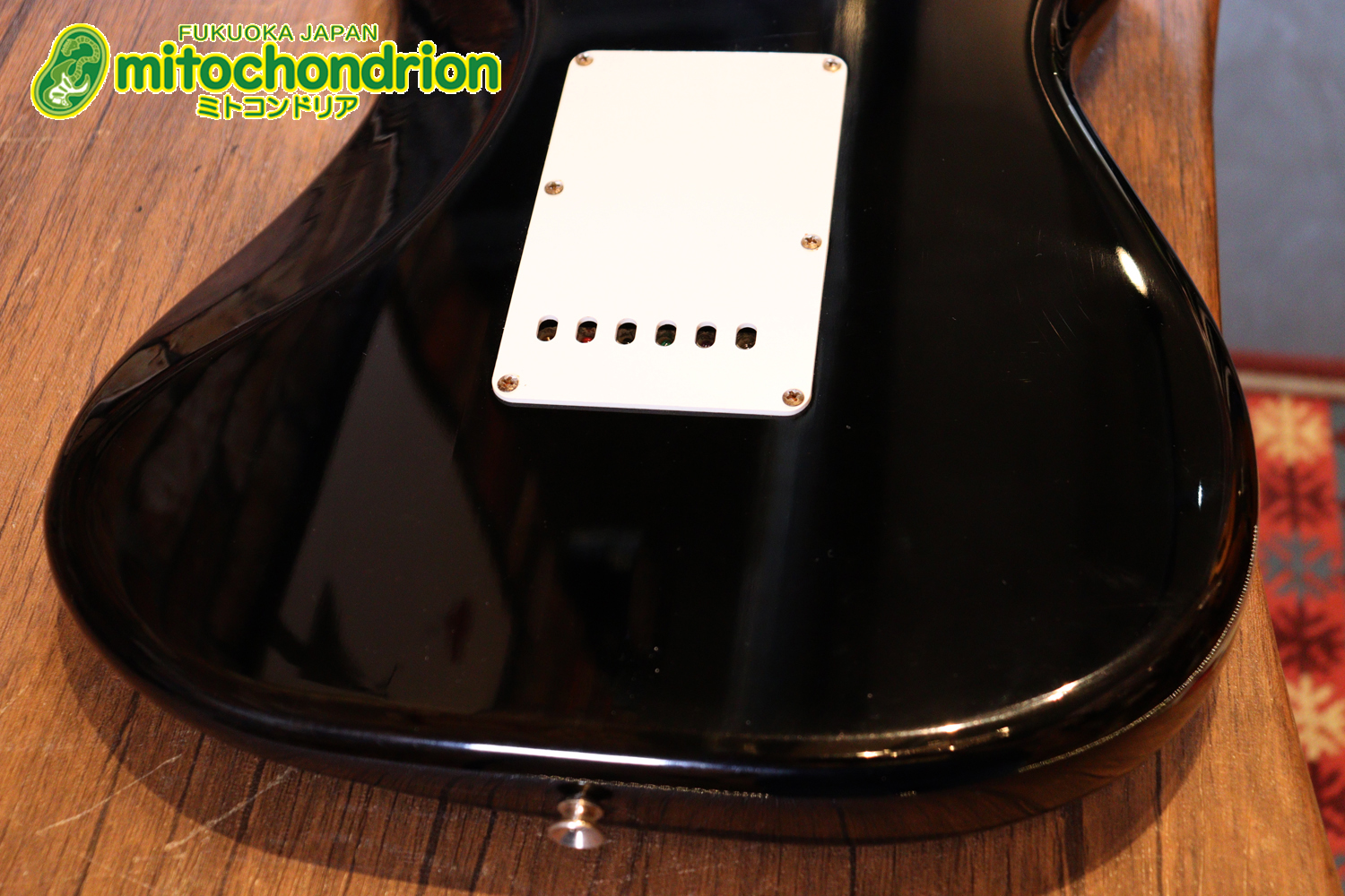 激レア！レフティーのTokai TSTです！