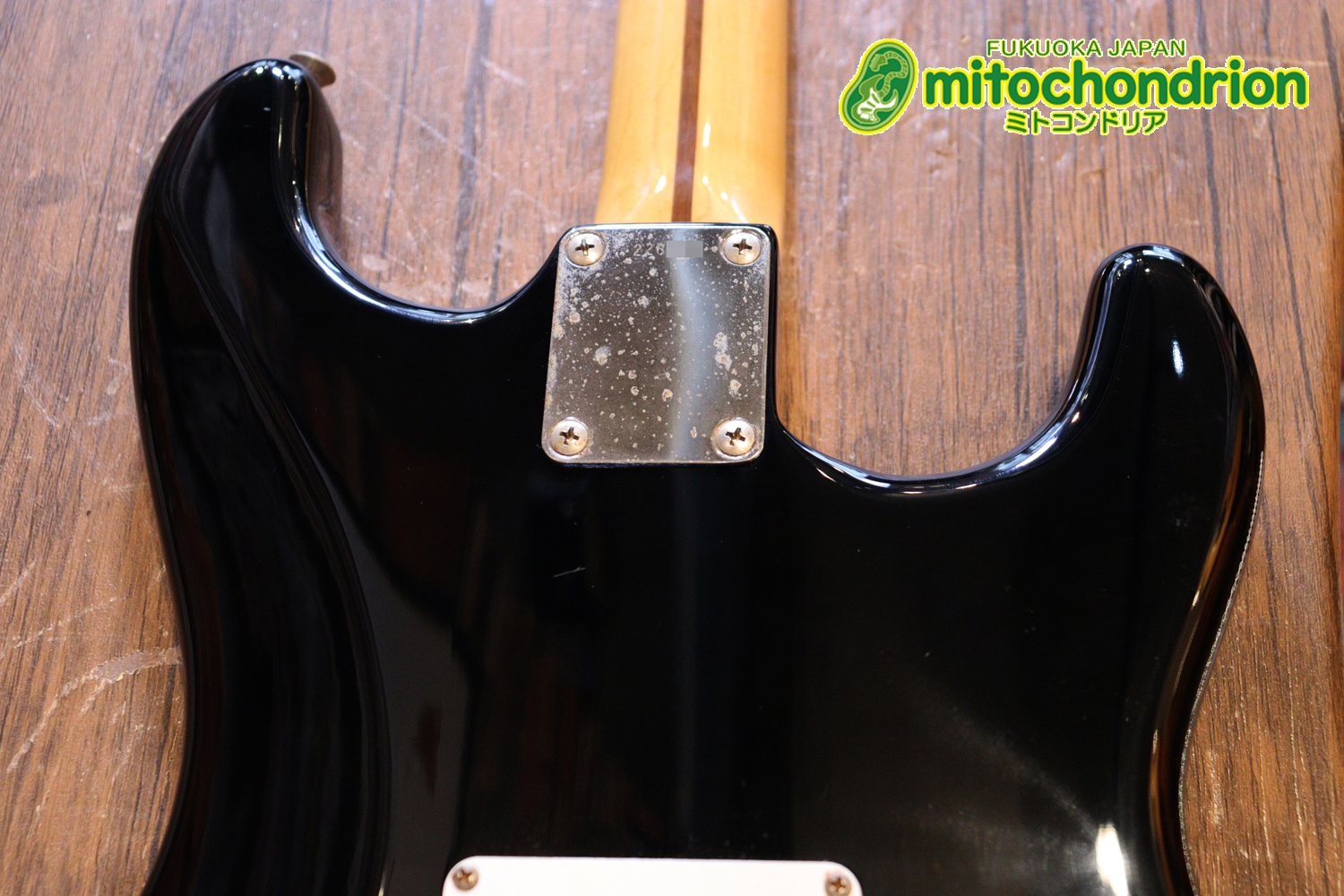 激レア！レフティーのTokai TSTです！