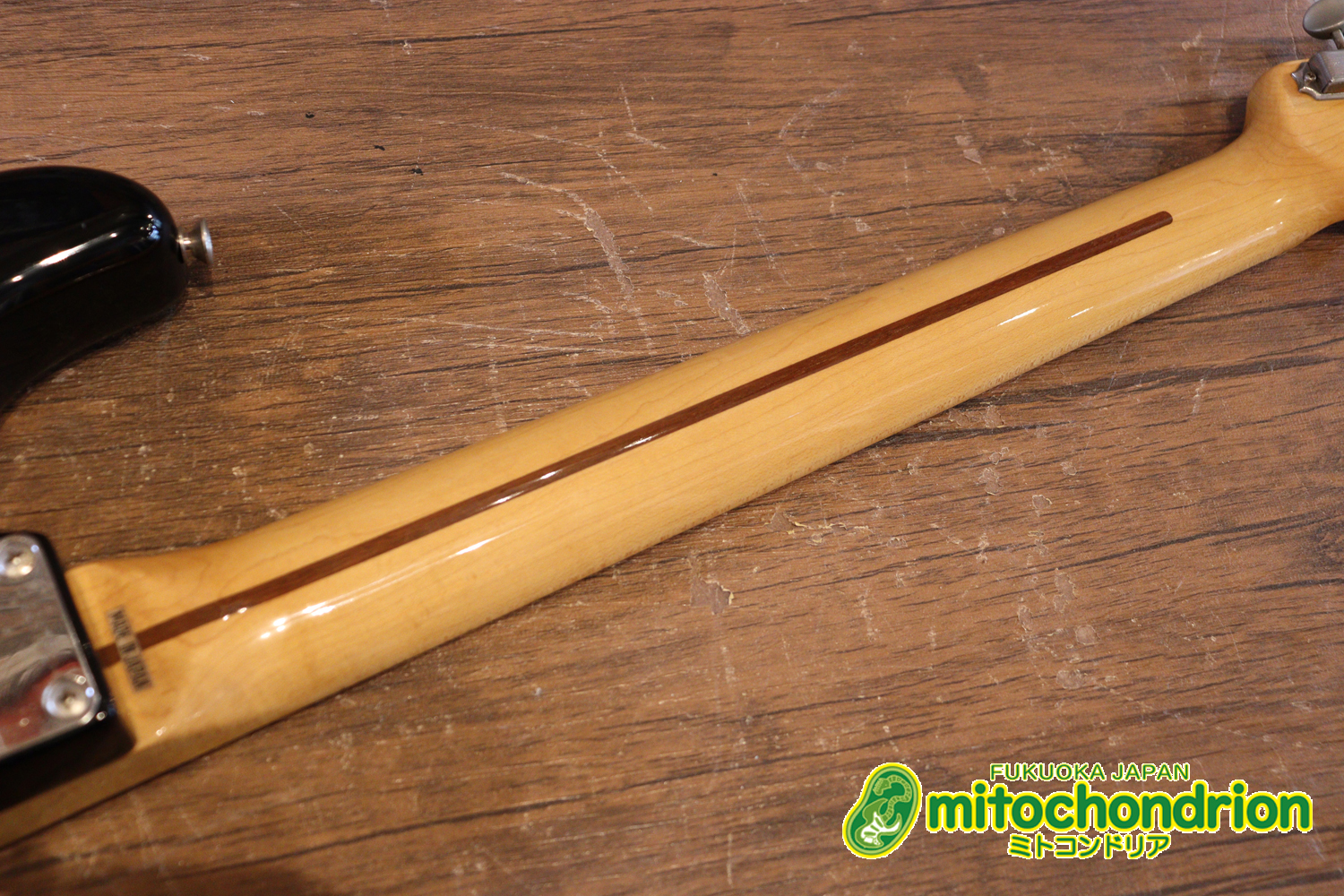 激レア！レフティーのTokai TSTです！