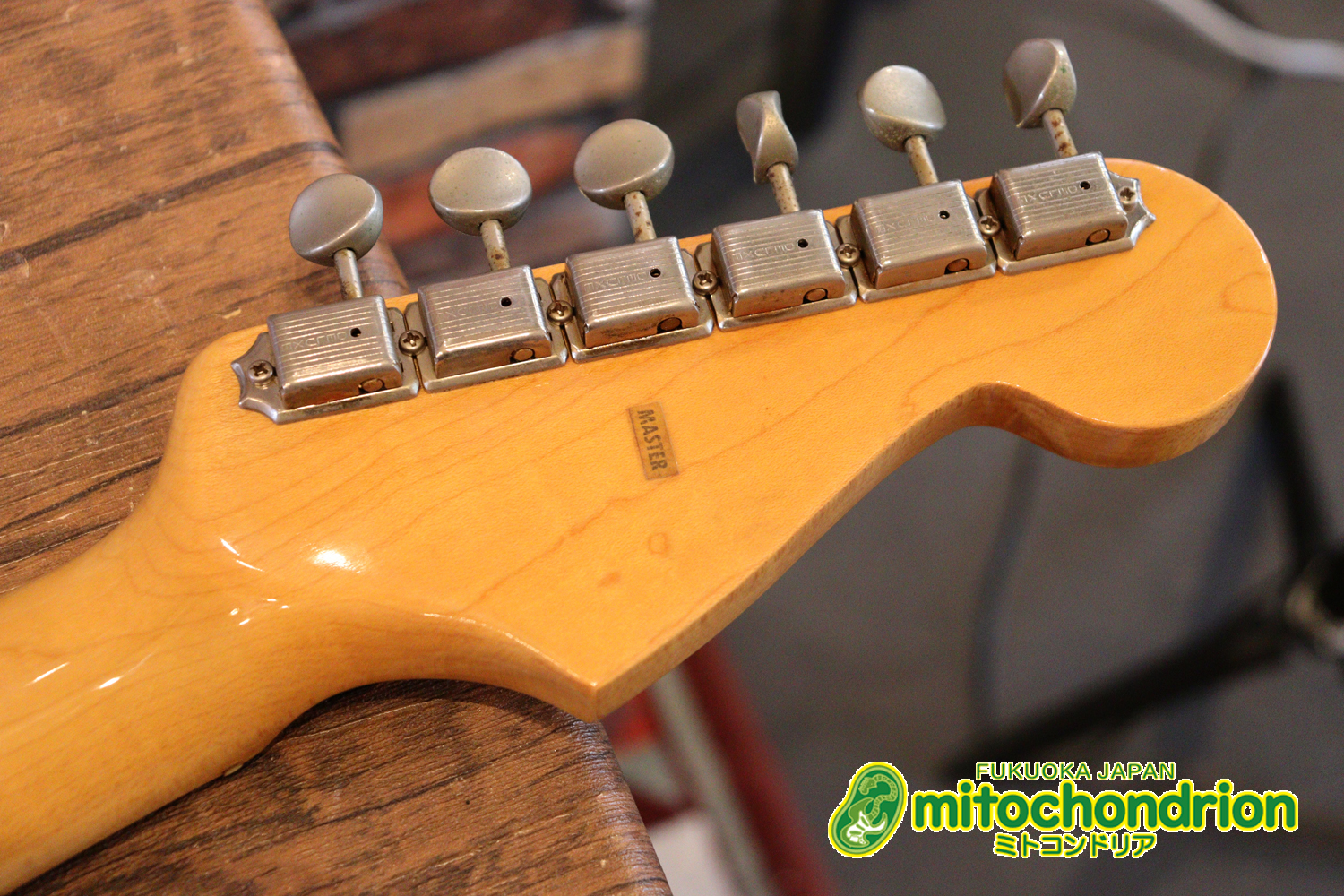 激レア！レフティーのTokai TSTです！