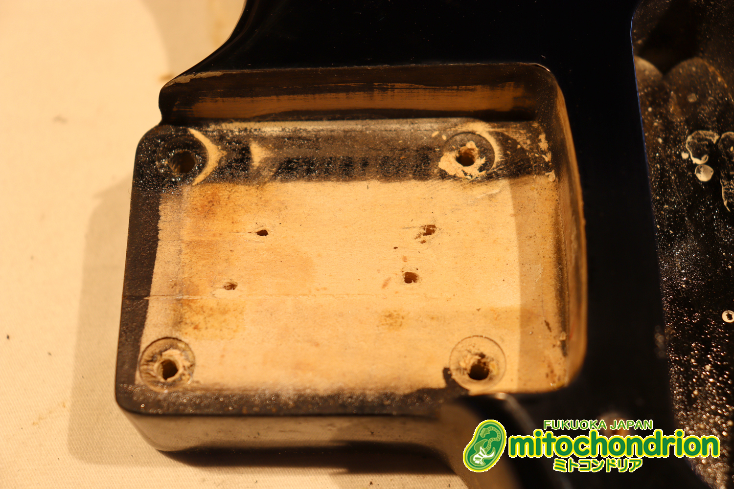 激レア！レフティーのTokai TSTです！