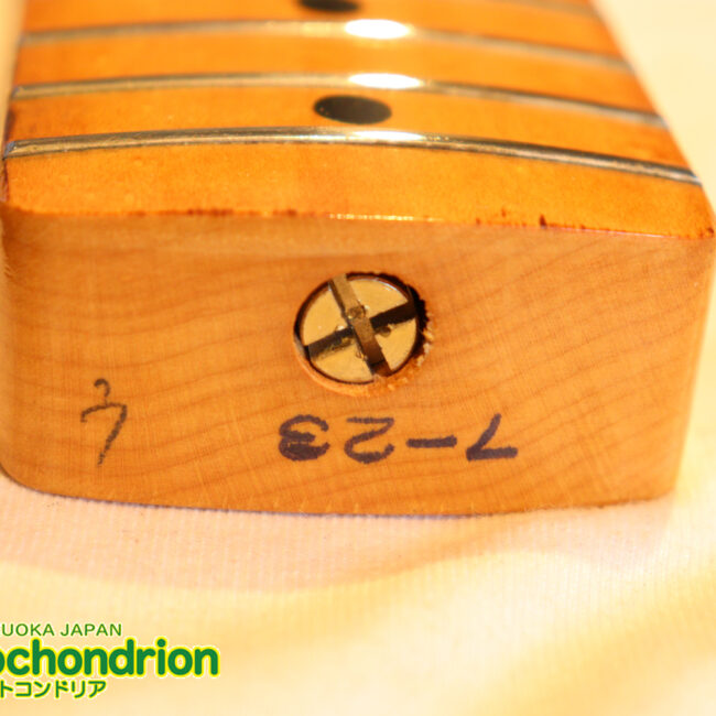 激レア！レフティーのTokai TSTです！