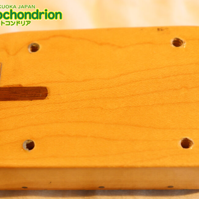 激レア！レフティーのTokai TSTです！