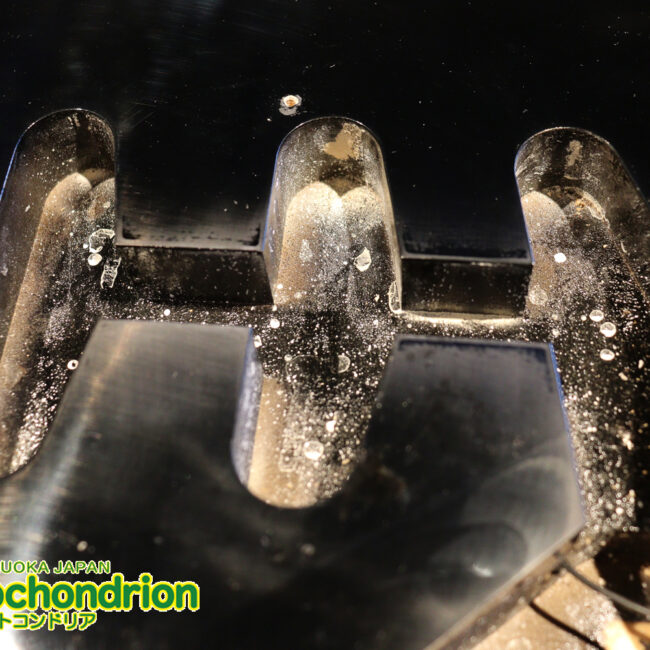 激レア！レフティーのTokai TSTです！