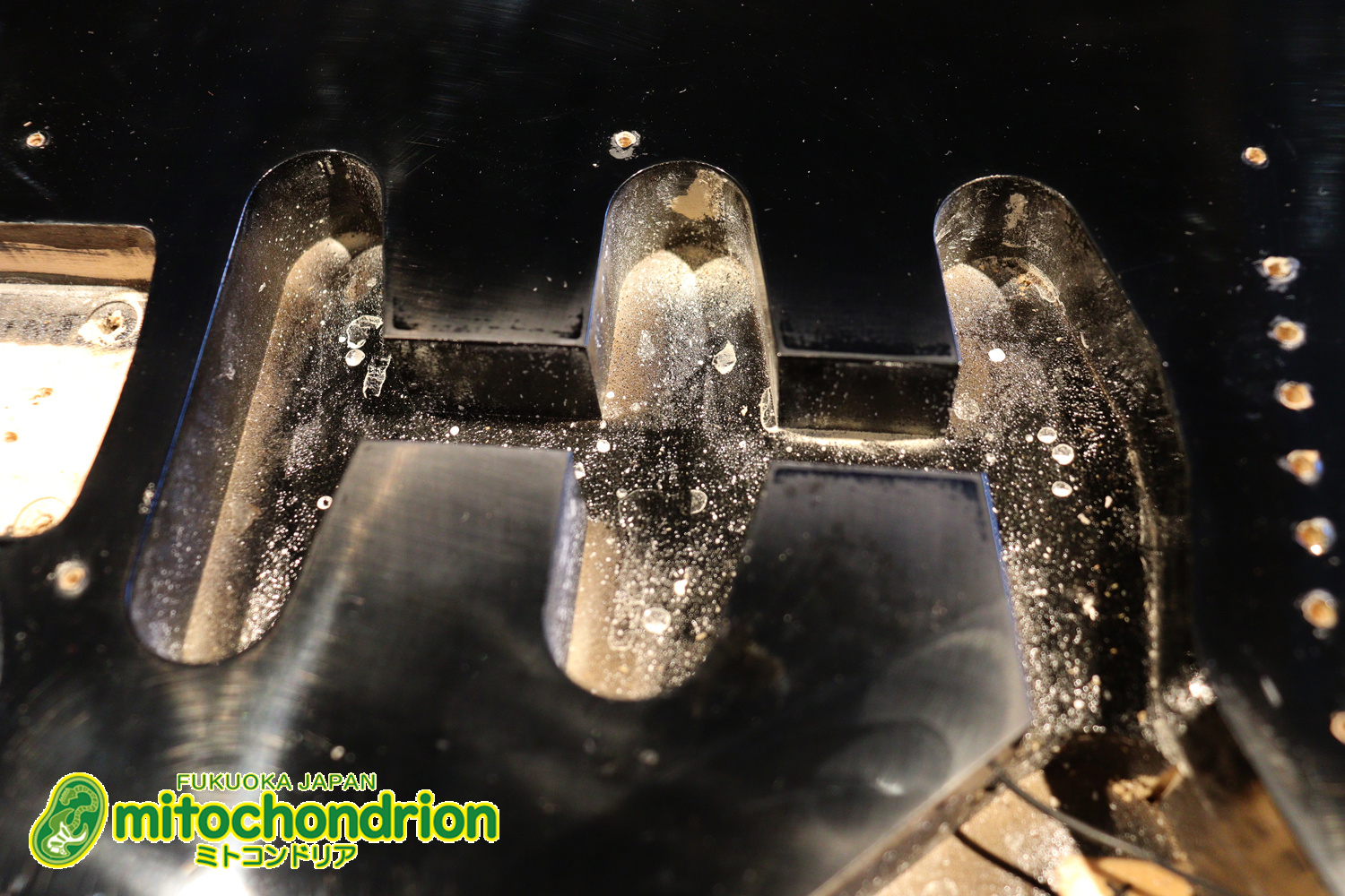 激レア！レフティーのTokai TSTです！