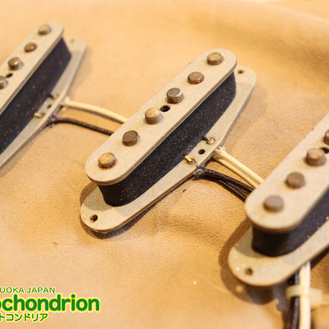 激レア！レフティーのTokai TSTです！