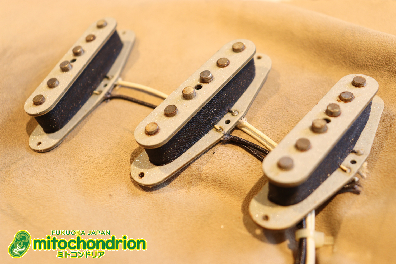 激レア！レフティーのTokai TSTです！