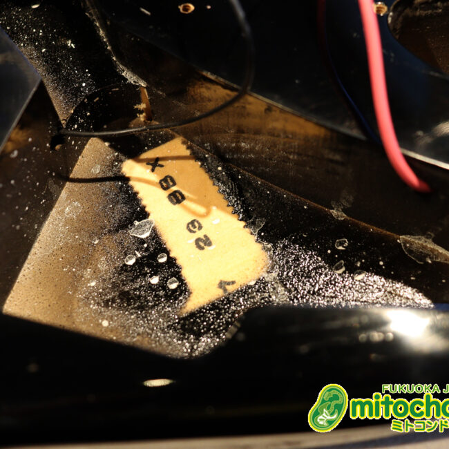 激レア！レフティーのTokai TSTです！