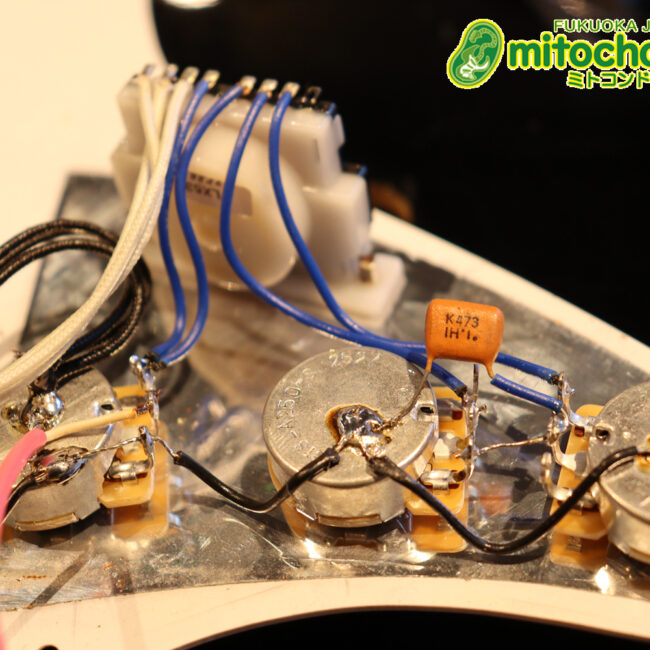 激レア！レフティーのTokai TSTです！