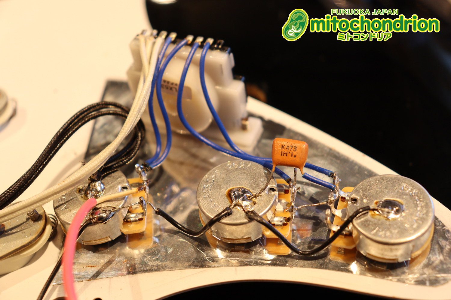 激レア！レフティーのTokai TSTです！