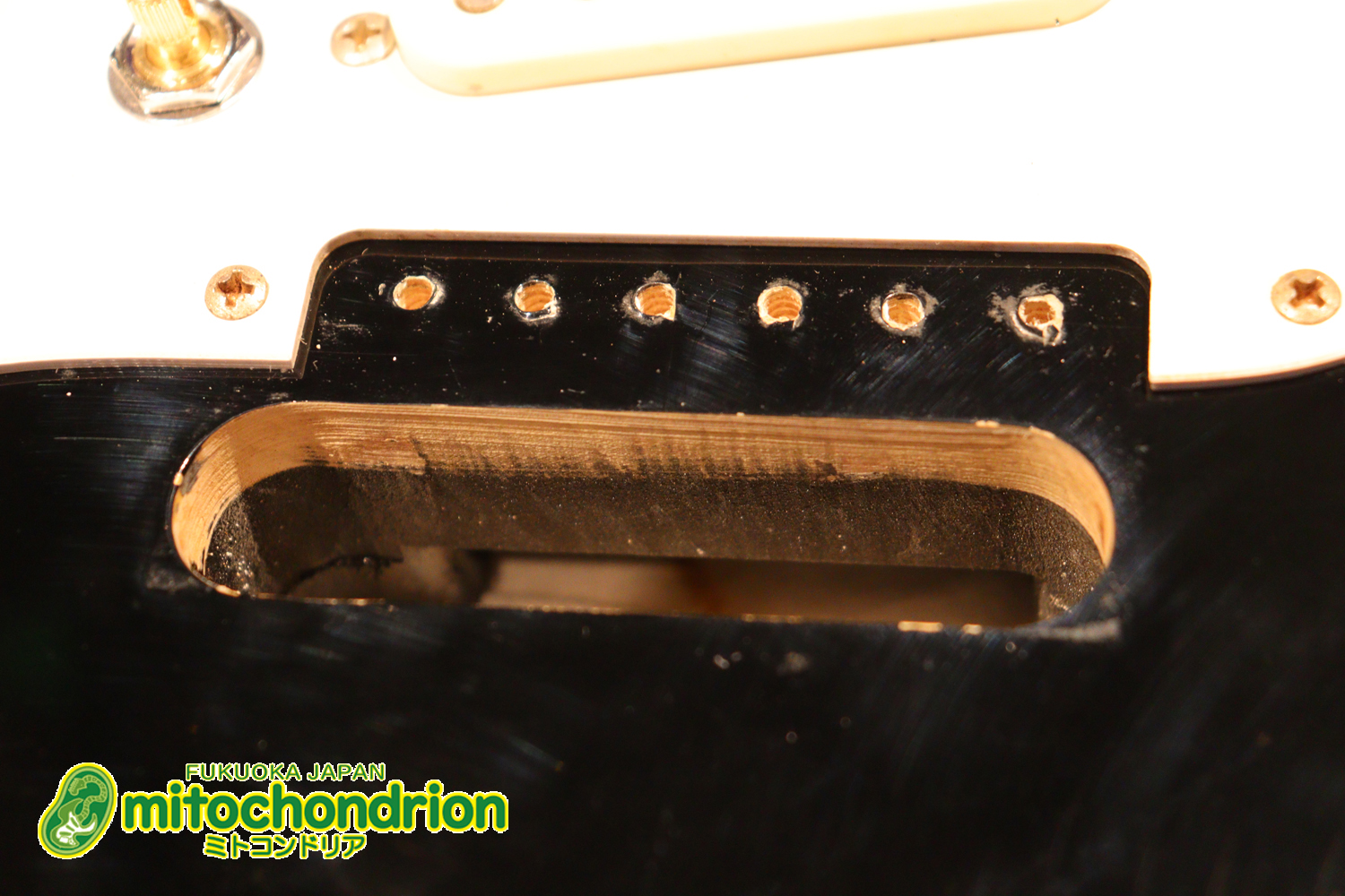 激レア！レフティーのTokai TSTです！