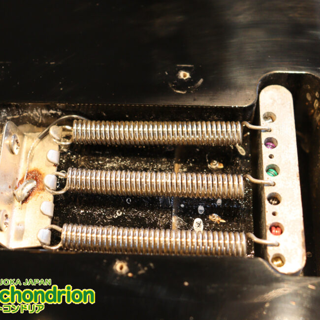 激レア！レフティーのTokai TSTです！