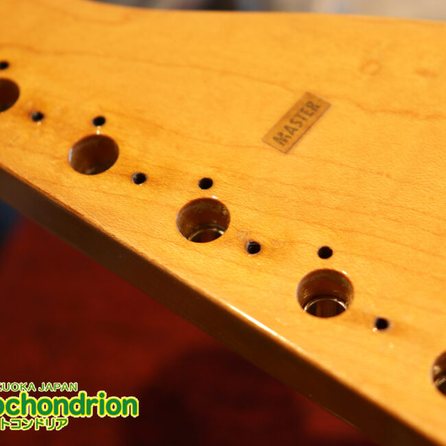 激レア！レフティーのTokai TSTです！