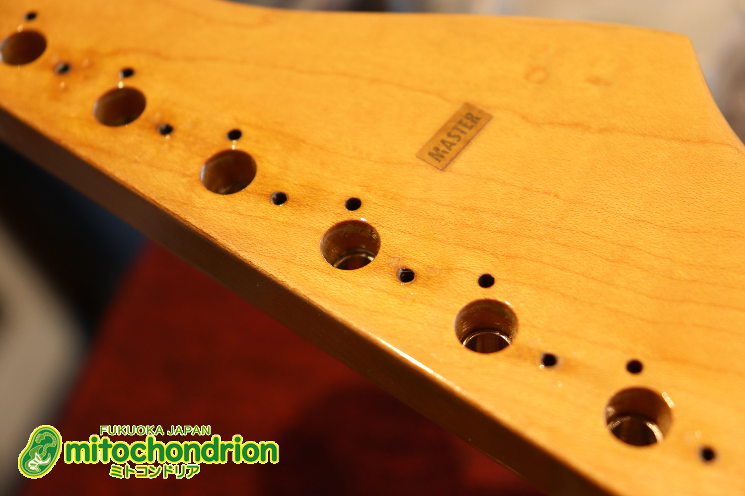 激レア！レフティーのTokai TSTです！