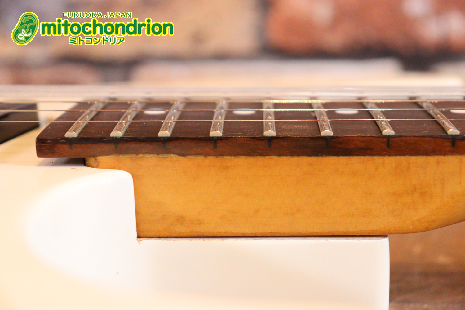 懐かしいシャーベルのディンキーモデル！