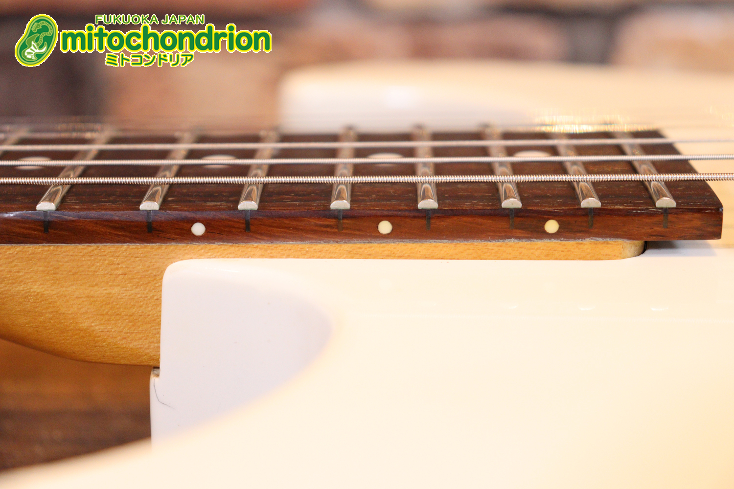 懐かしいシャーベルのディンキーモデル！