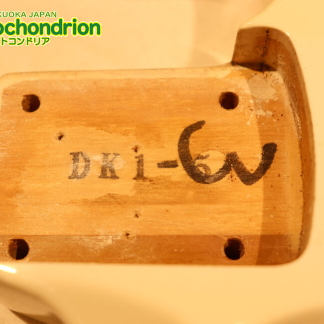 懐かしいシャーベルのディンキーモデル！