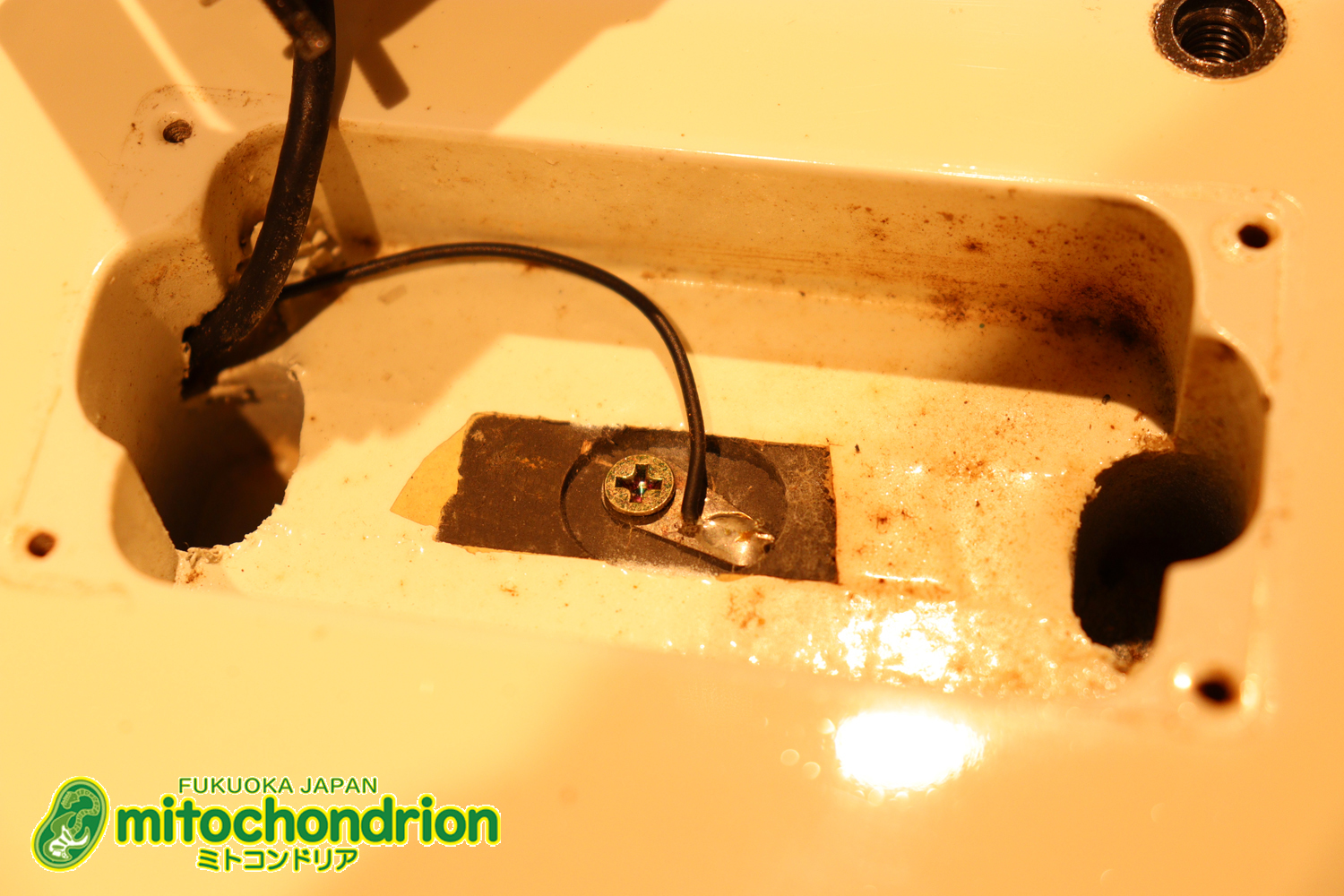 懐かしいシャーベルのディンキーモデル！