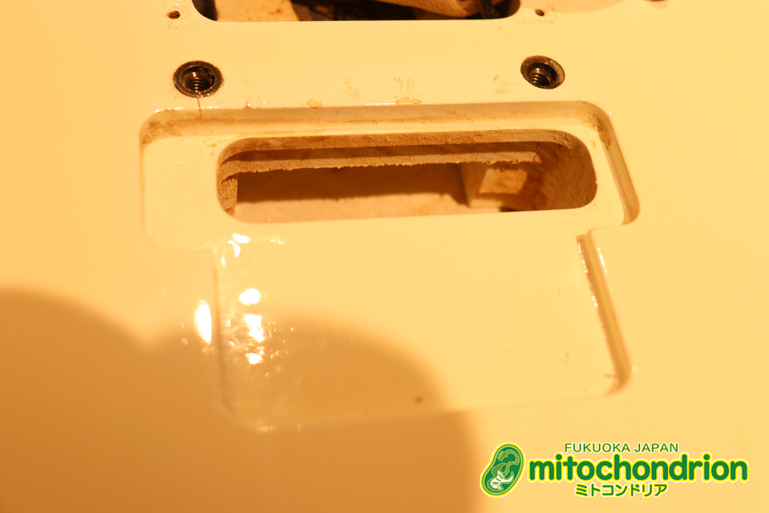 懐かしいシャーベルのディンキーモデル！