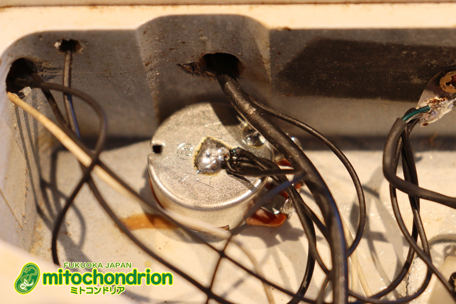 懐かしいシャーベルのディンキーモデル！