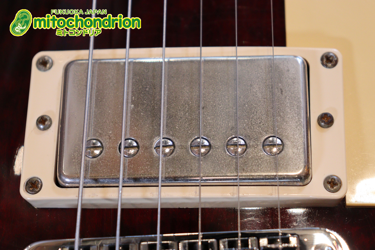 ボディートップがキルトメイプルっぽい木目のレスポールスタンダードです！