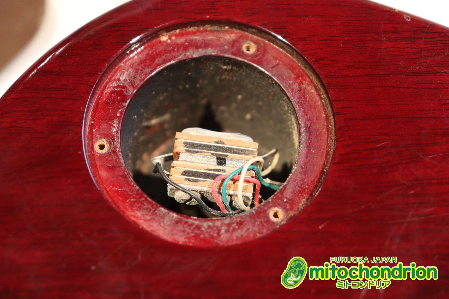 ボディートップがキルトメイプルっぽい木目のレスポールスタンダードです！