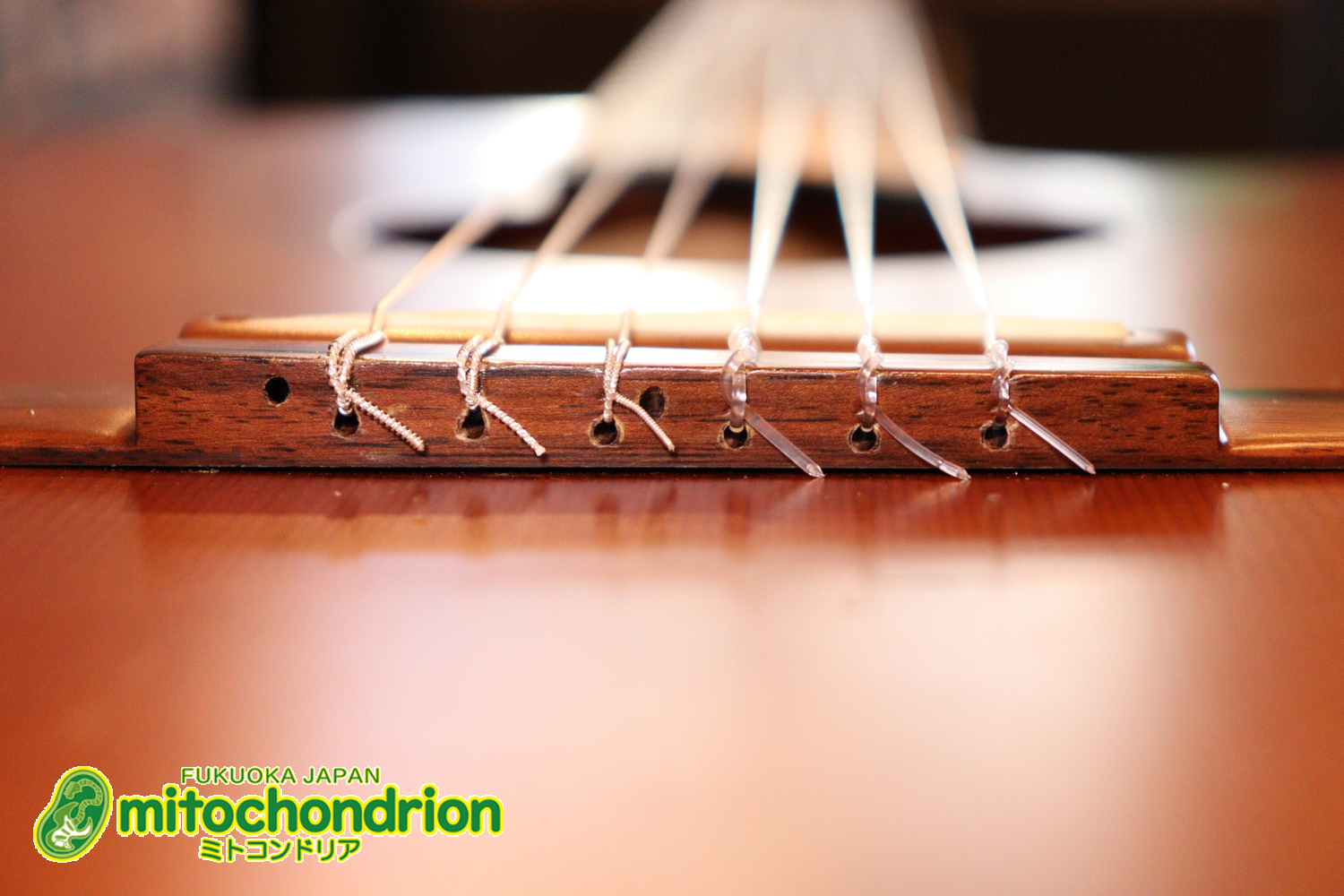 プリアンプから、回路が外されてしまっているのでパッシブピックアップ状態です。