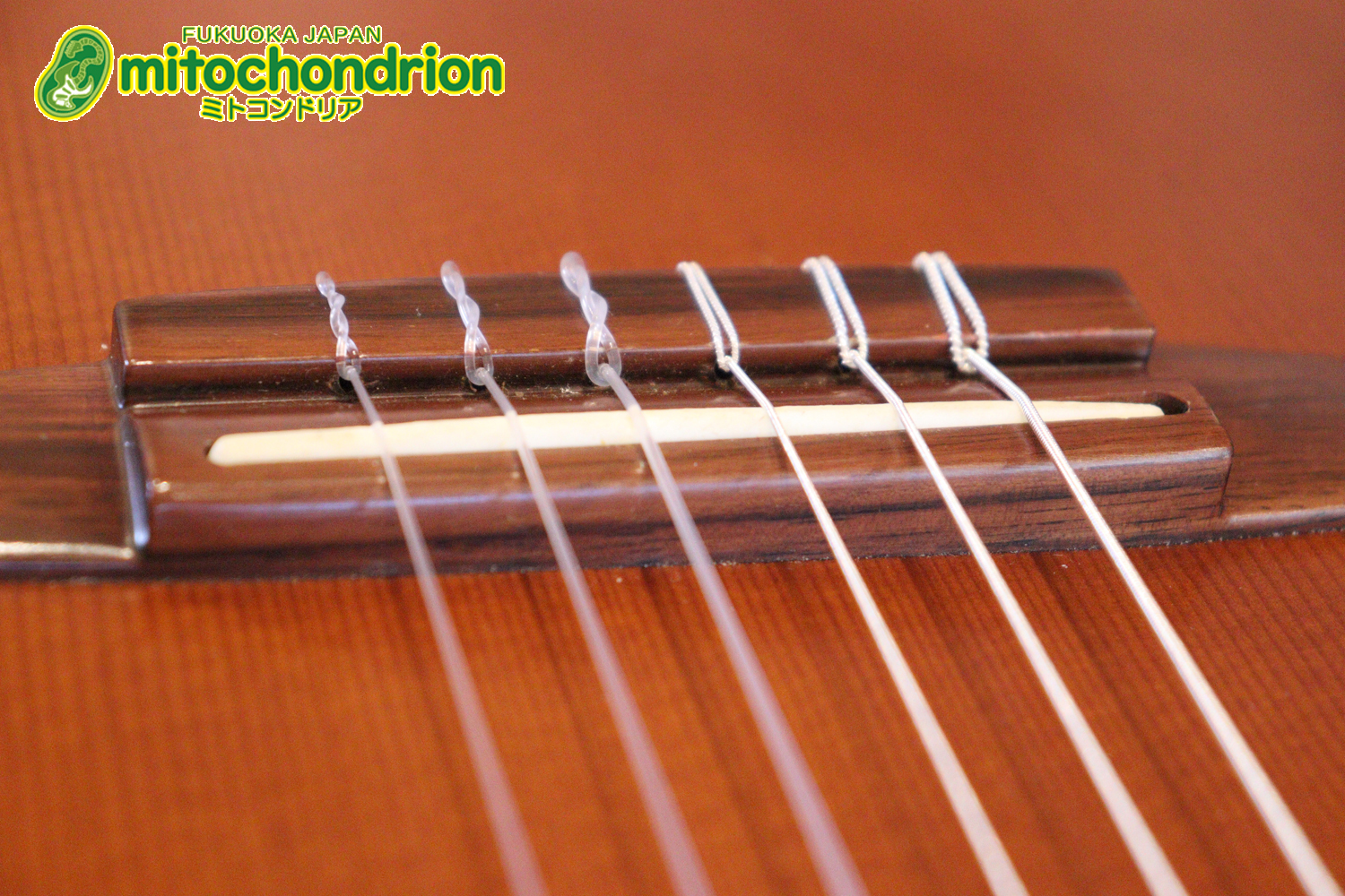 プリアンプから、回路が外されてしまっているのでパッシブピックアップ状態です。