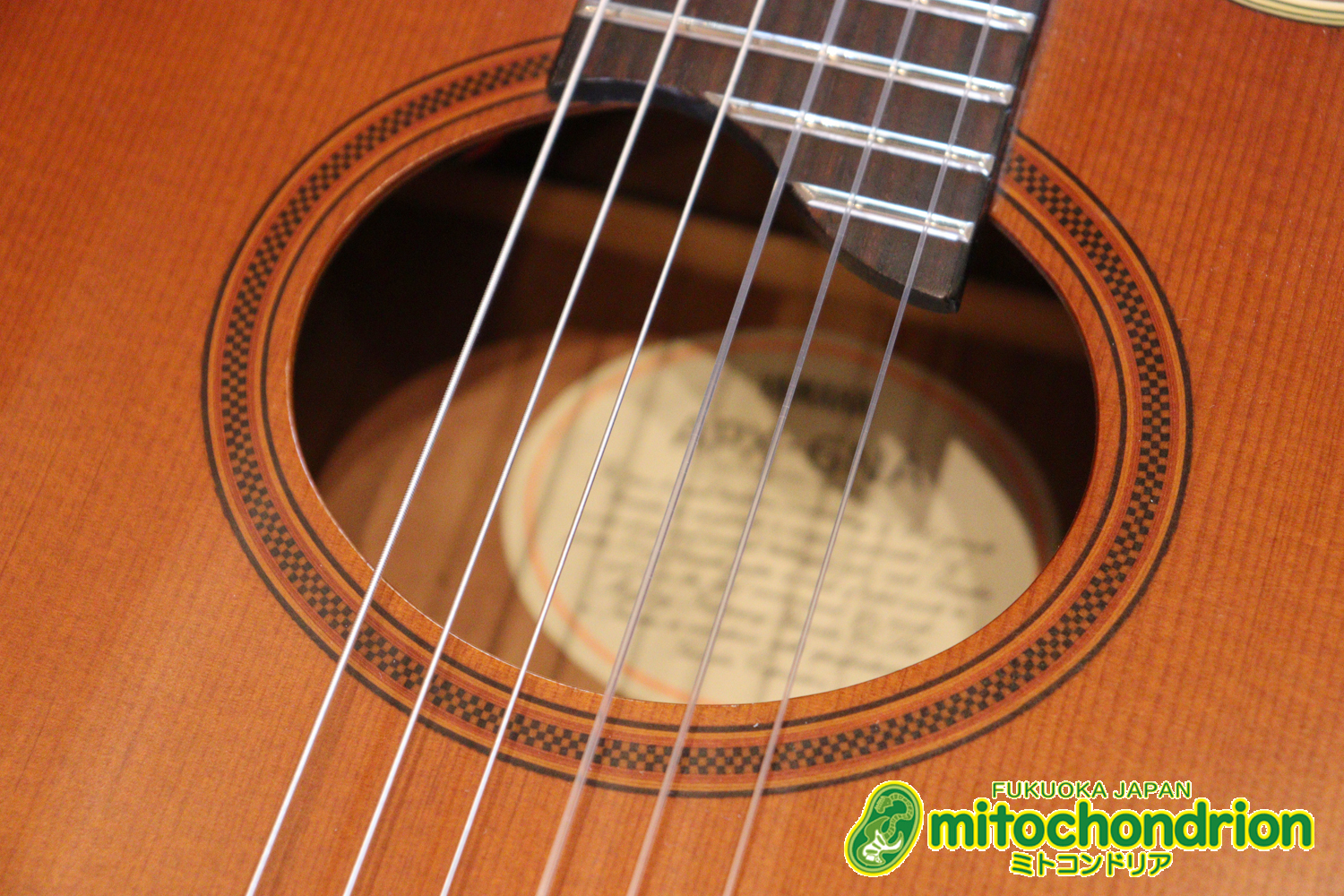 プリアンプから、回路が外されてしまっているのでパッシブピックアップ状態です。