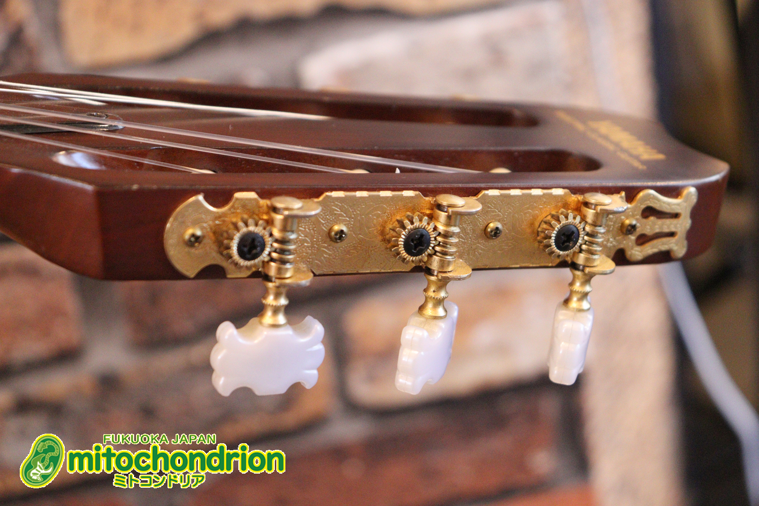 プリアンプから、回路が外されてしまっているのでパッシブピックアップ状態です。