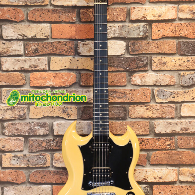 2ハムバッカーなのにスペシャル？しかもエボニー指版？