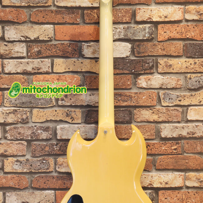 2ハムバッカーなのにスペシャル？しかもエボニー指版？