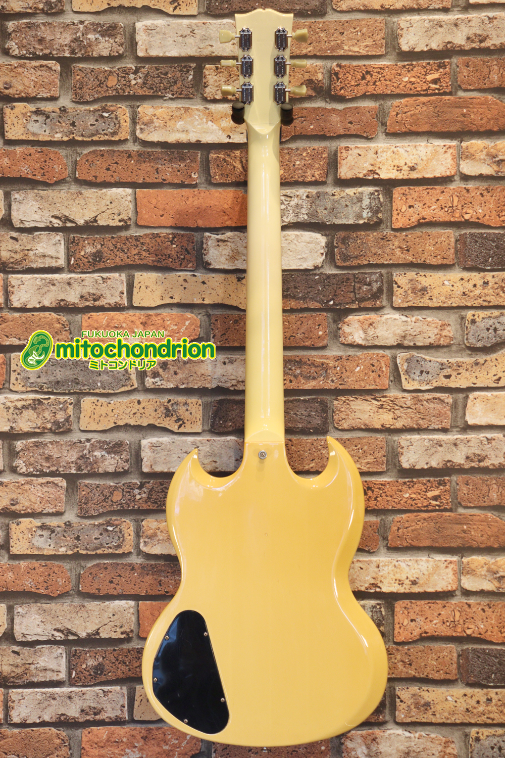 2ハムバッカーなのにスペシャル？しかもエボニー指版？