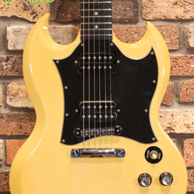 2ハムバッカーなのにスペシャル？しかもエボニー指版？