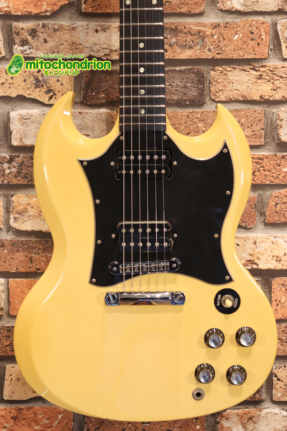 2ハムバッカーなのにスペシャル？しかもエボニー指版？