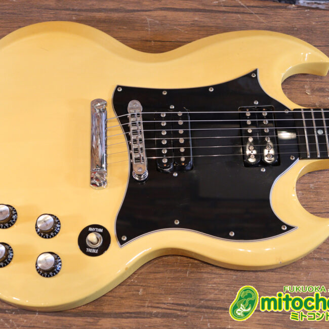 2ハムバッカーなのにスペシャル？しかもエボニー指版？