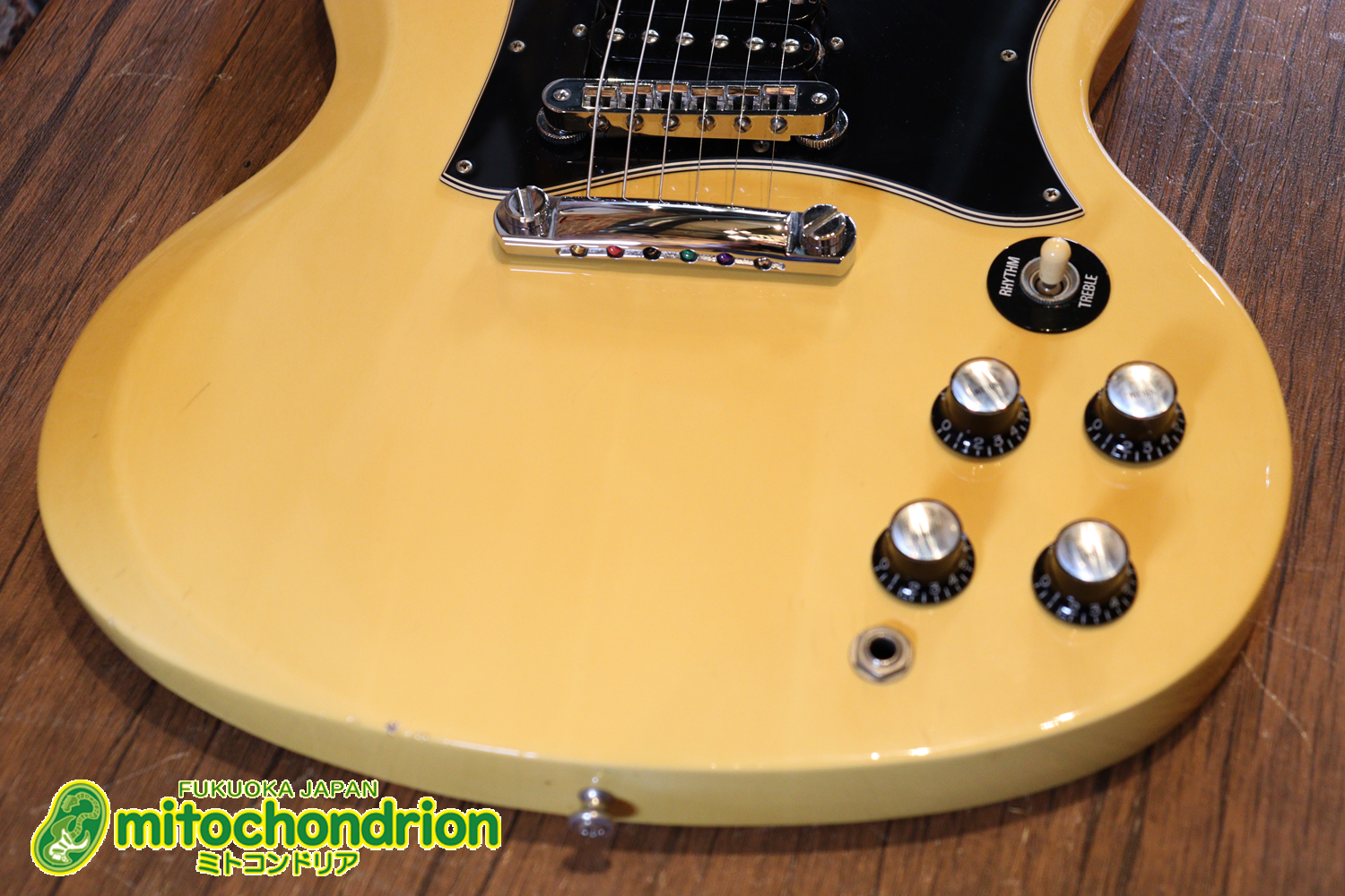 2ハムバッカーなのにスペシャル？しかもエボニー指版？