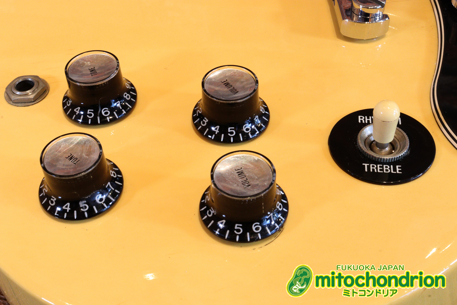 2ハムバッカーなのにスペシャル？しかもエボニー指版？