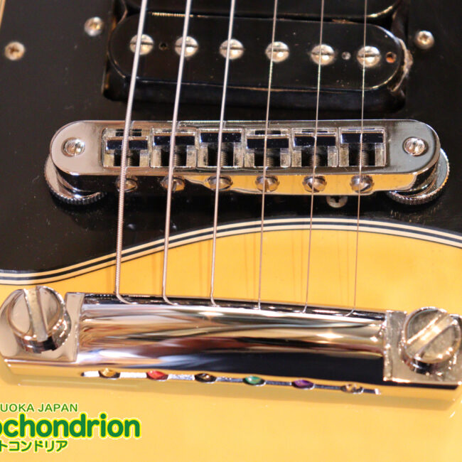 2ハムバッカーなのにスペシャル？しかもエボニー指版？