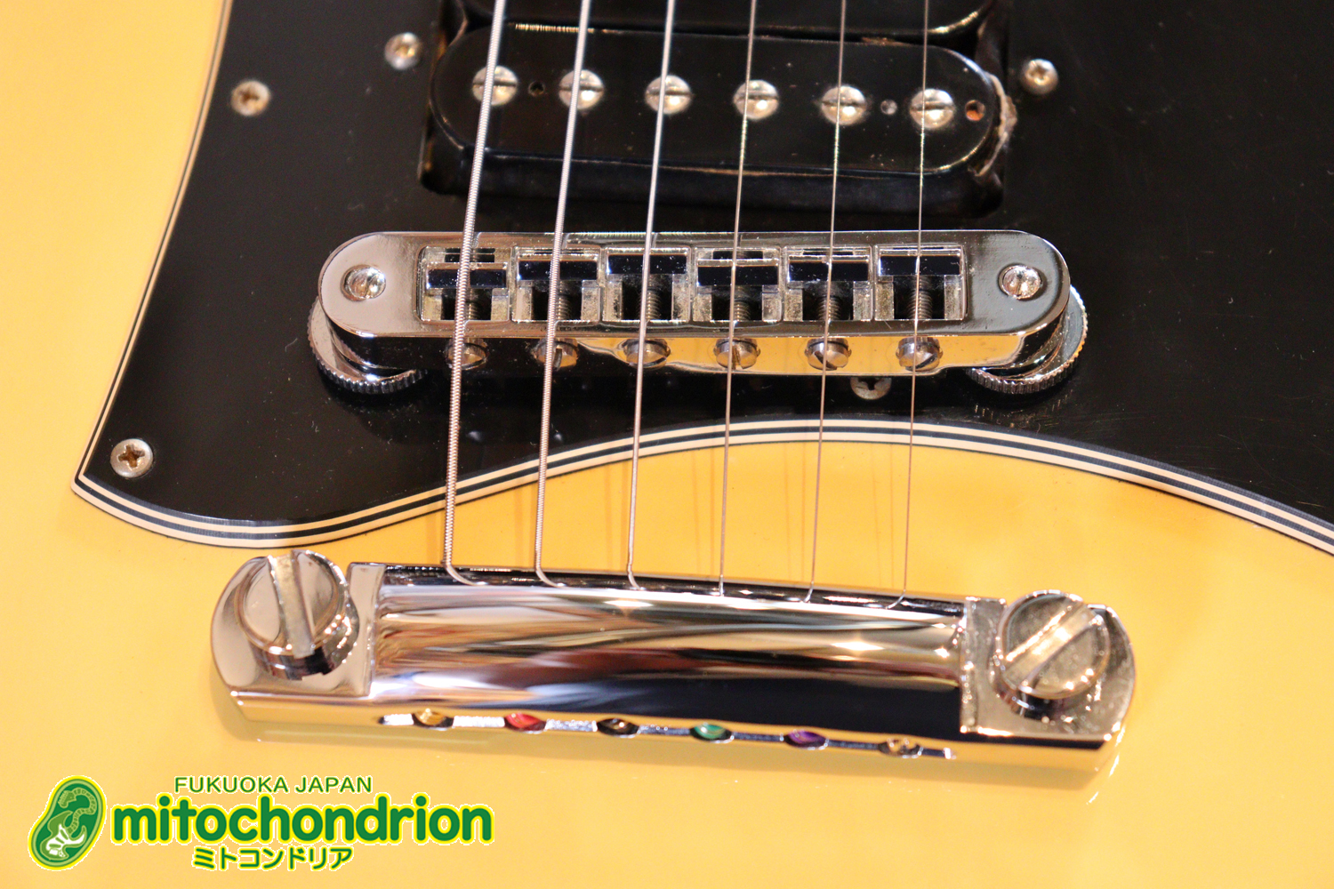 2ハムバッカーなのにスペシャル？しかもエボニー指版？