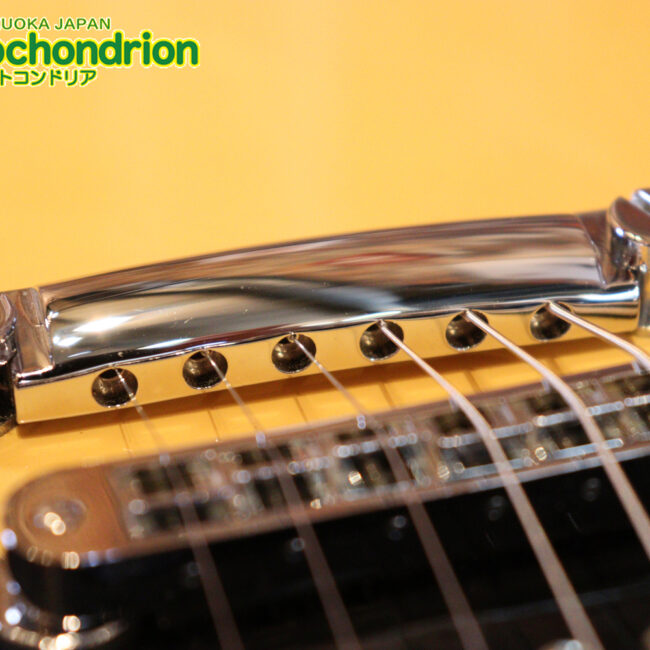 2ハムバッカーなのにスペシャル？しかもエボニー指版？