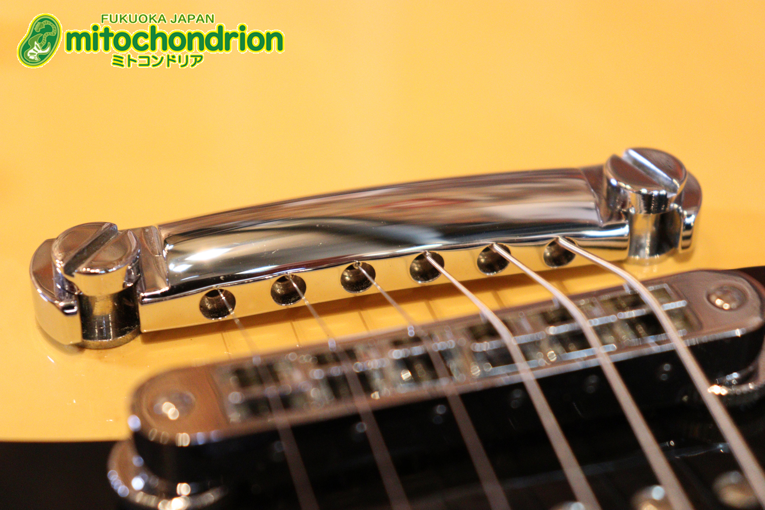 2ハムバッカーなのにスペシャル？しかもエボニー指版？